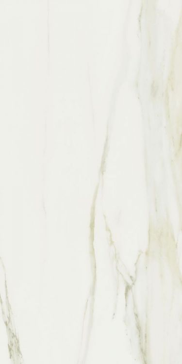 Classici Calacatta Gold Matte 24 x 48
